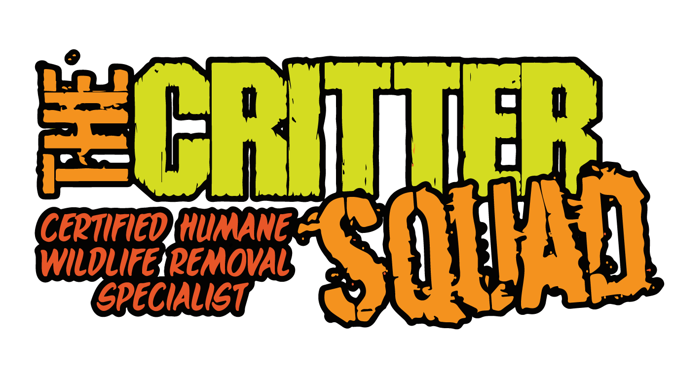 The Critter Squad Texas Wildlife Removal & Control