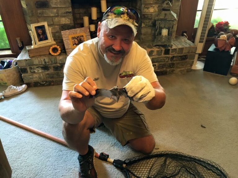 Bat Removal The Critter Squad Texas Wildlife Removal & Control