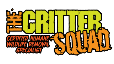 The Critter Squad Texas Wildlife Removal & Control