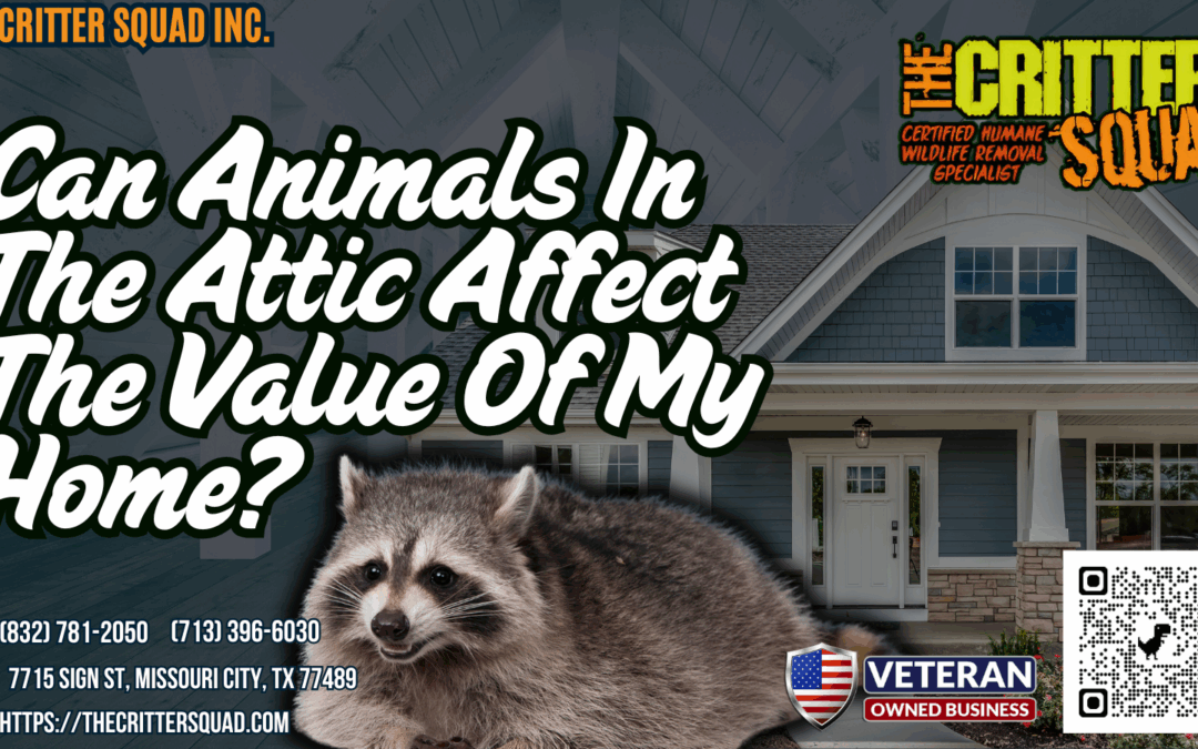 Can animals in the attic affect the value of my home?