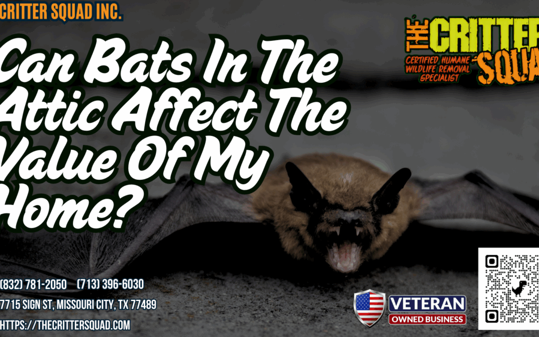 Can Bats In The Attic Affect The Value Of My Home