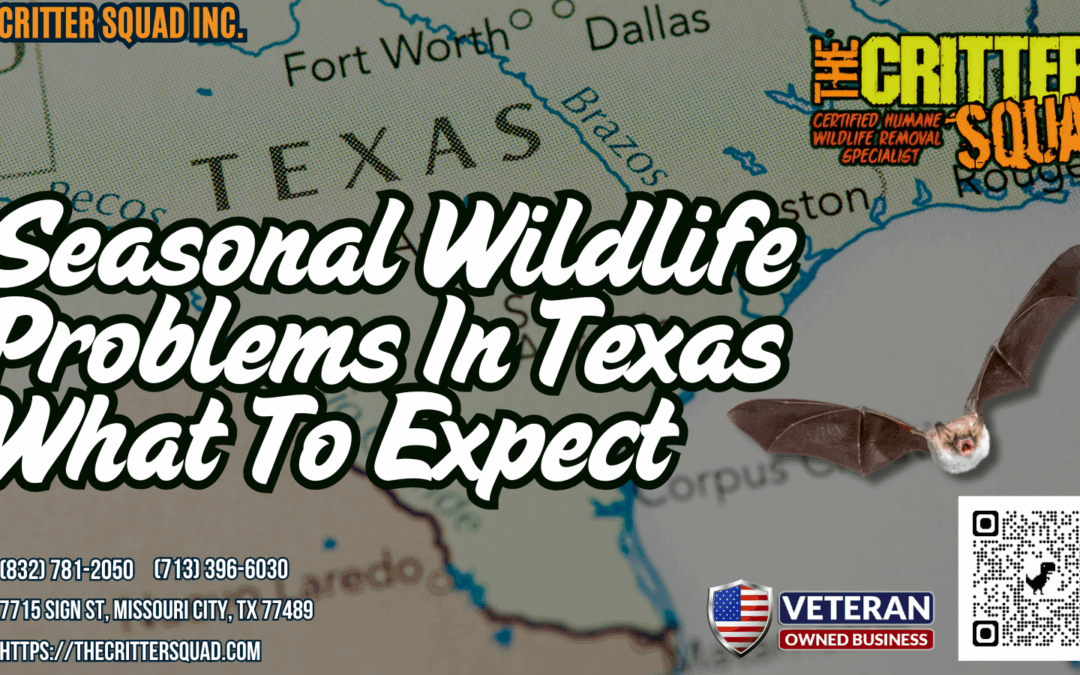 Seasonal Wildlife Problems in Texas: What to Expect