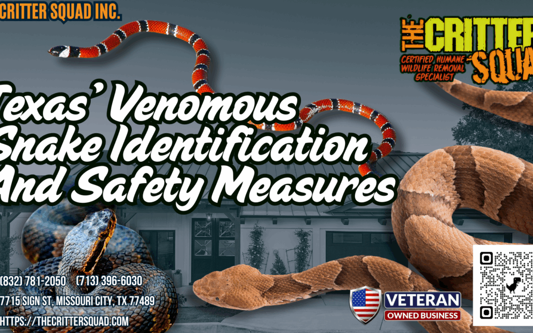 Texas’ Venomous Snakes: Identification and Safety Measures