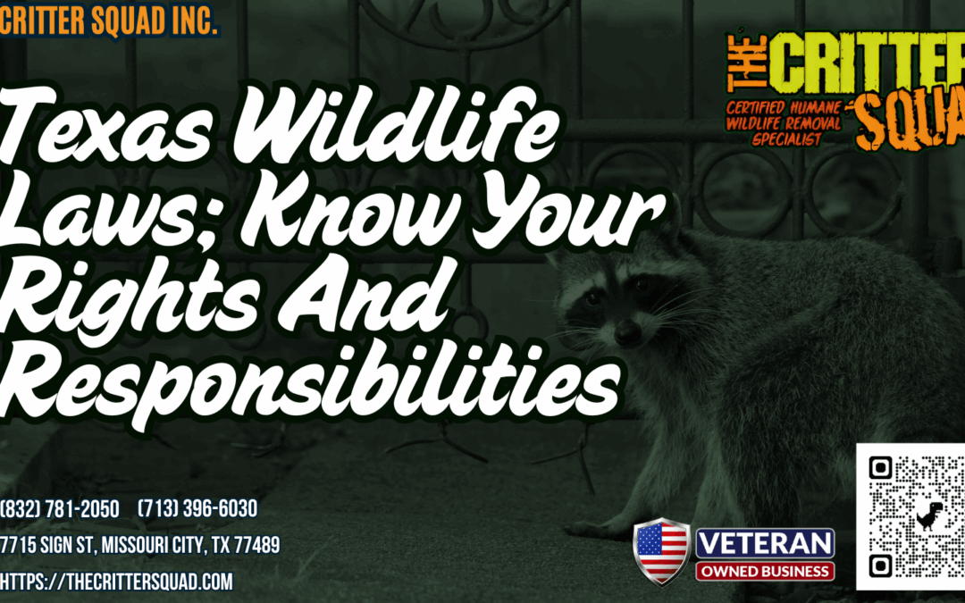 Texas Wildlife Laws: Know Your Rights and Responsibilities