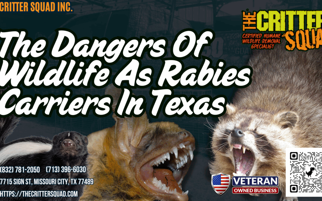 The Dangers Of Wildlife As Rabies Carriers In Texas