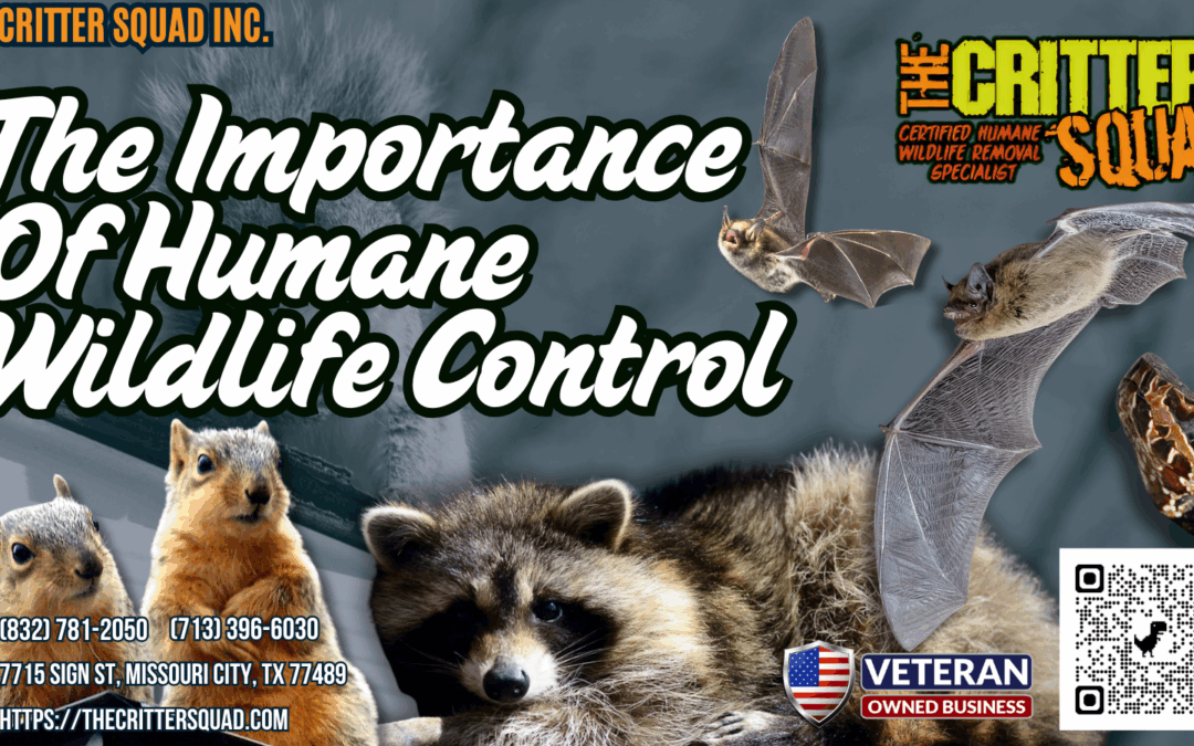 The Importance of Humane Wildlife Control