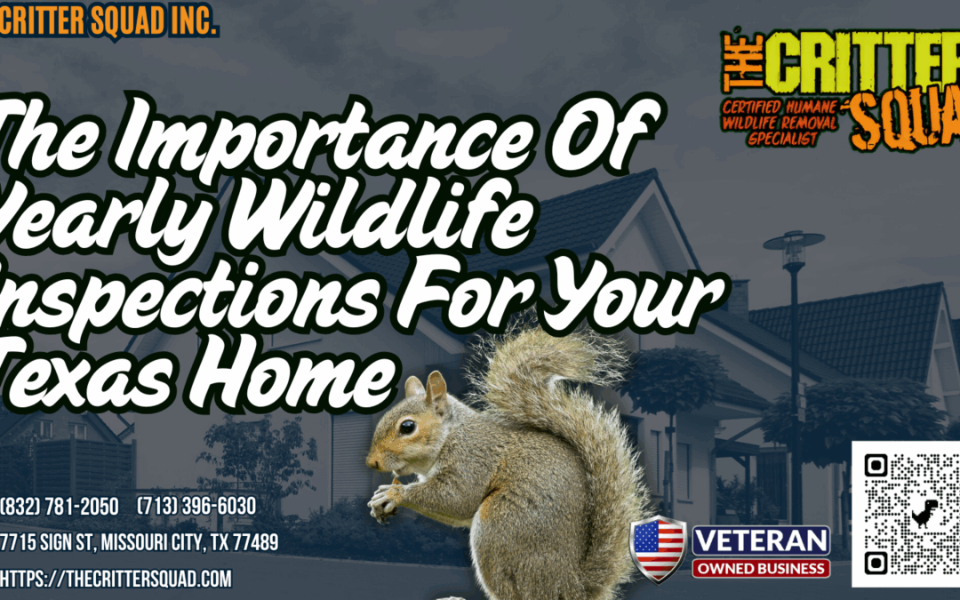 The Importance of Yearly Wildlife Inspections For Your Texas Home