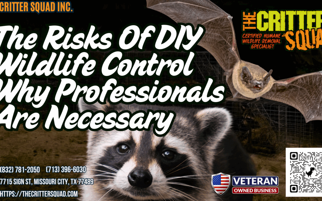 The Risks of DIY Wildlife Control: Why Professionals are Necessary