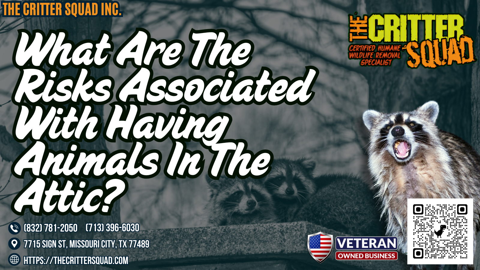 What are the risks associated with having animals in the attic? | The ...
