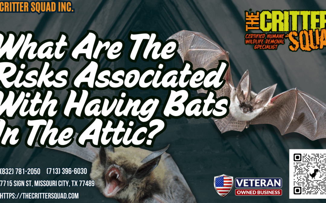 What are the risks associated with having bats in the attic?