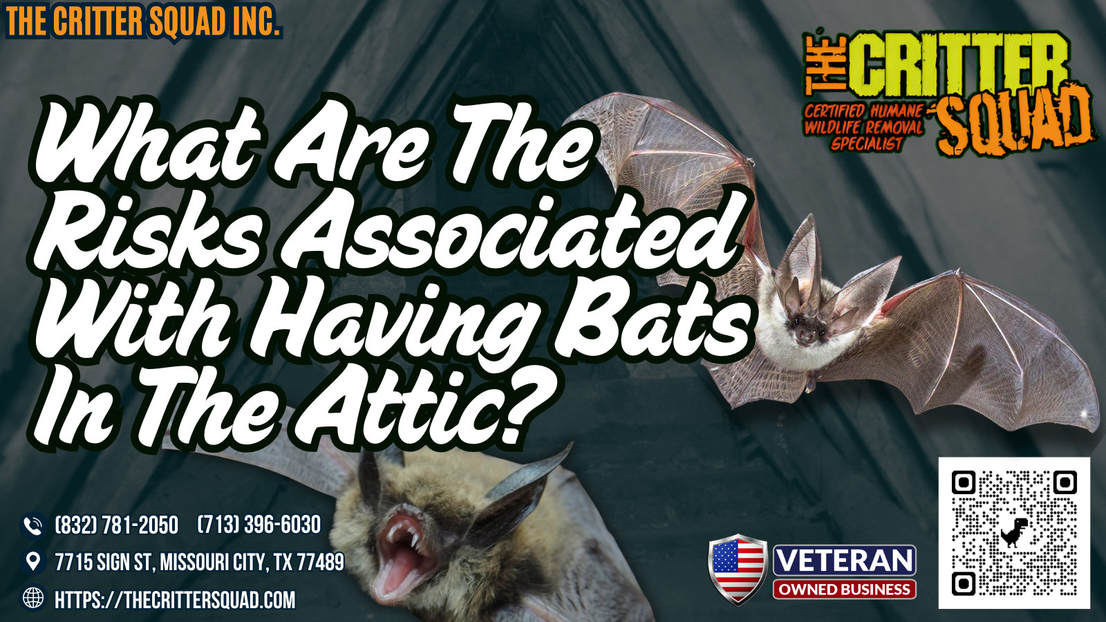 What are the risks associated with having bats in the attic? | The ...