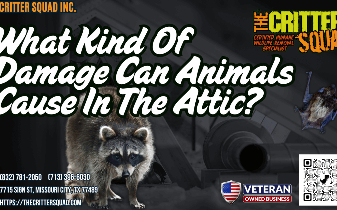 What kind of damage can animals cause in the attic?