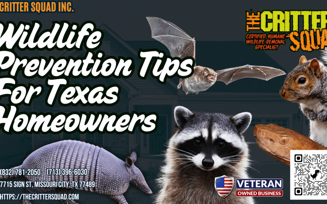 Wildlife Prevention Tips for Texas Homeowners