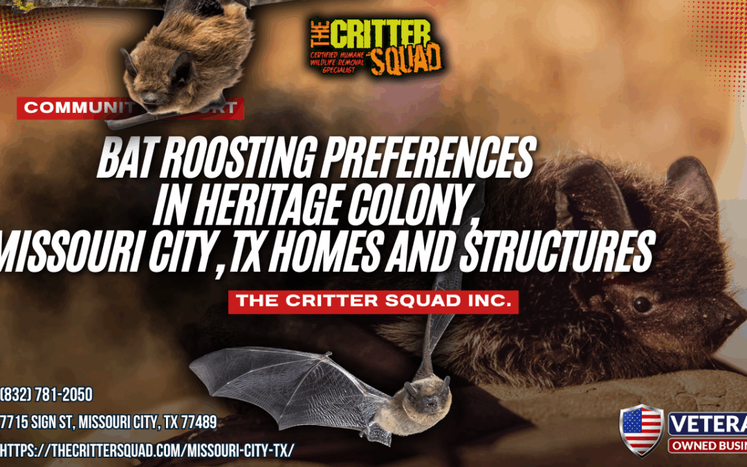 Bat Roosting Preferences in Heritage Colony, Missouri City, TX Homes and Structures