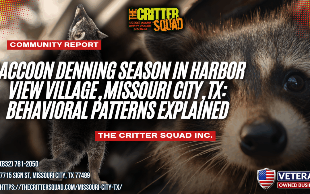 Raccoon Denning Season in Harbor View Village, Missouri City, TX: Behavioral Patterns Explained