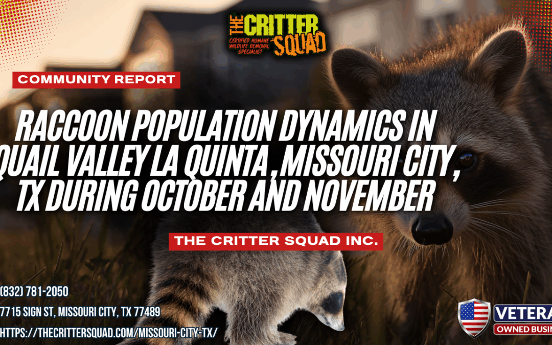 Raccoon Population Dynamics in Quail Valley La Quinta, Missouri City, TX During October and November