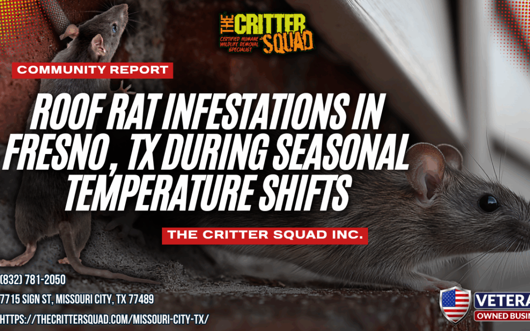 Roof Rat Infestations in Fresno, TX During Seasonal Temperature Shifts