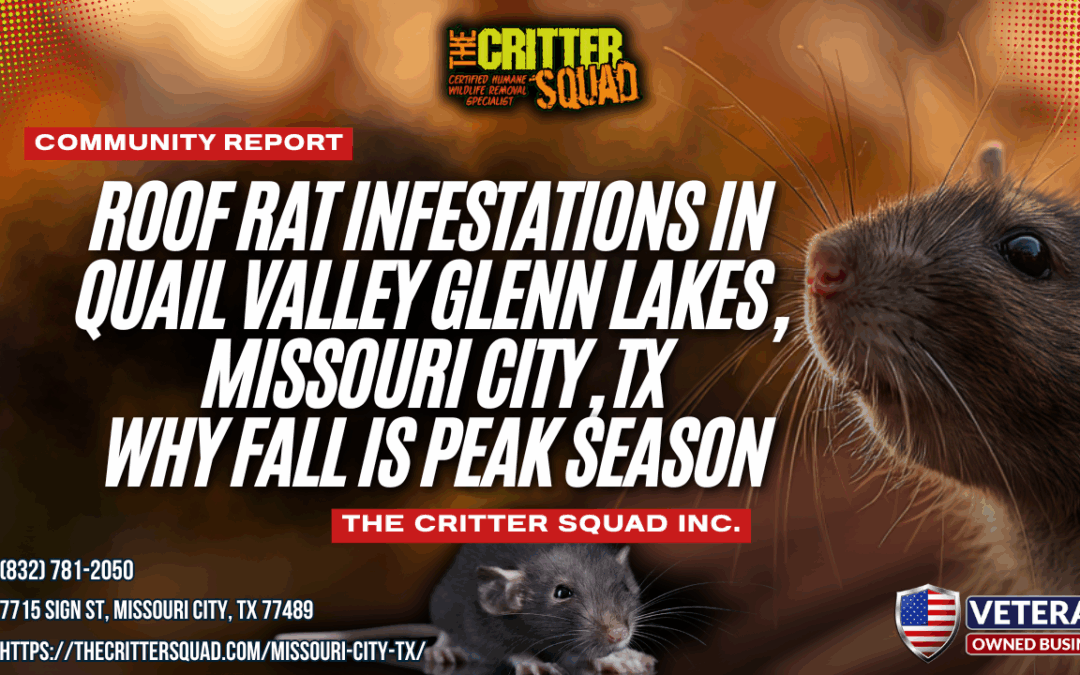 Roof Rat Infestations in Quail Valley Glenn Lakes, Missouri City, TX: Why Fall Is Peak Season