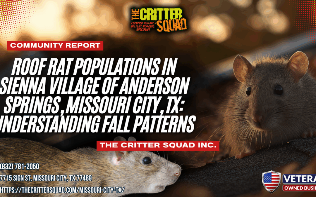 Roof Rat Populations in Sienna Village of Anderson Springs, Missouri City, TX: Understanding Fall Patterns