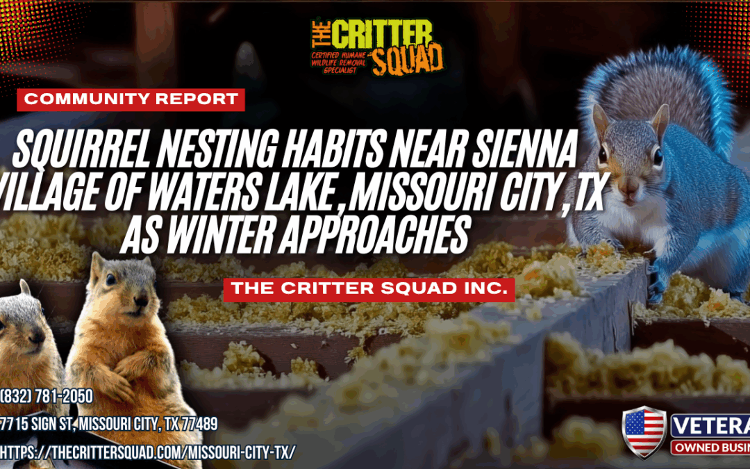 Squirrel Nesting Habits Near Sienna Village of Waters Lake, Missouri City, TX as Winter Approaches