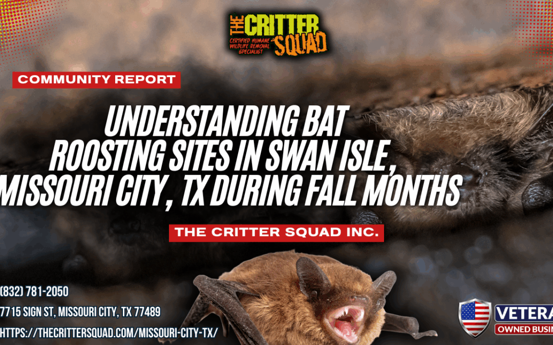 Understanding Bat Roosting Sites in Swan Isle, Missouri City, TX During Fall Months